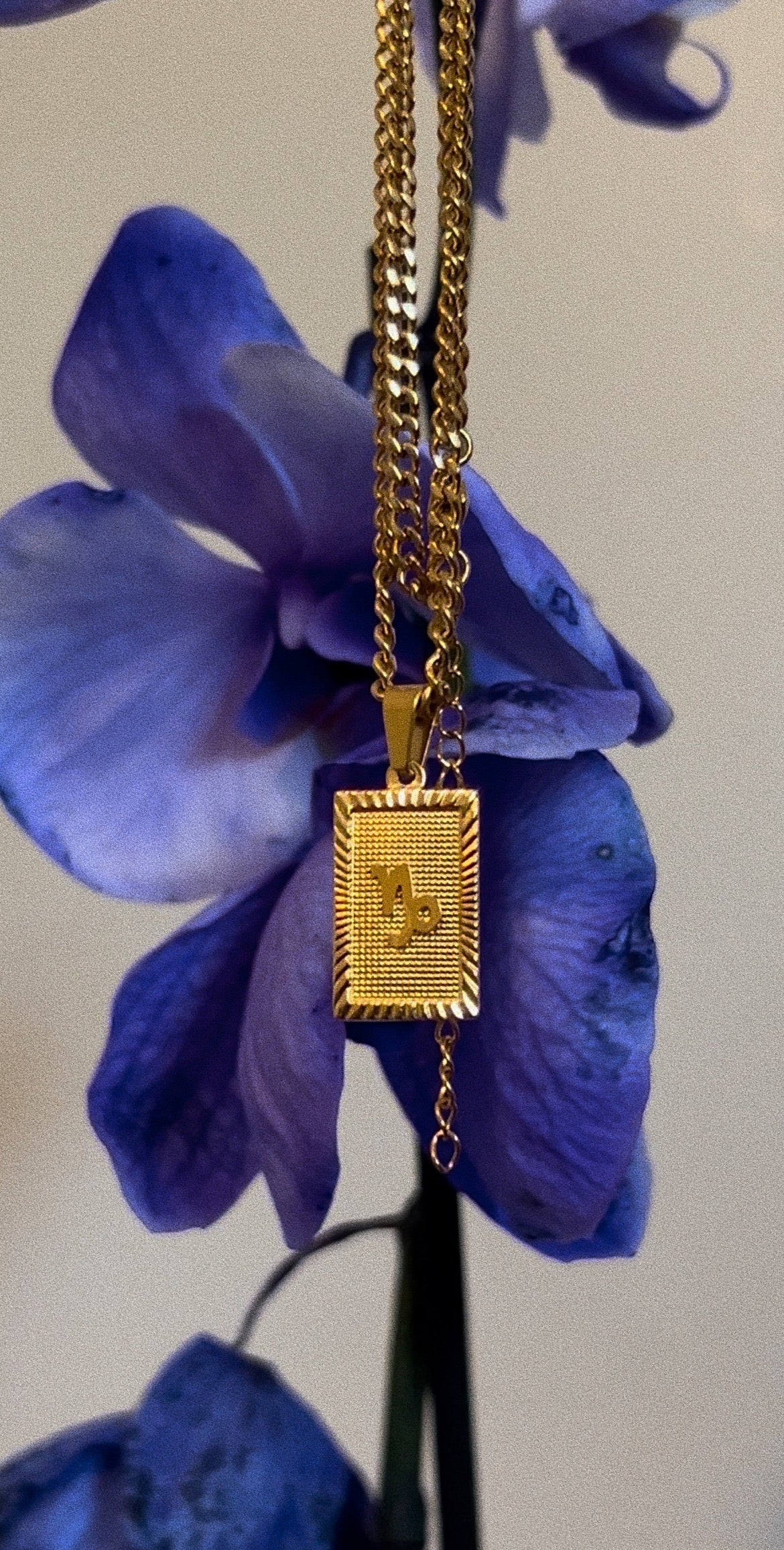 Capricorn zodiac necklace | 18k Gold plated