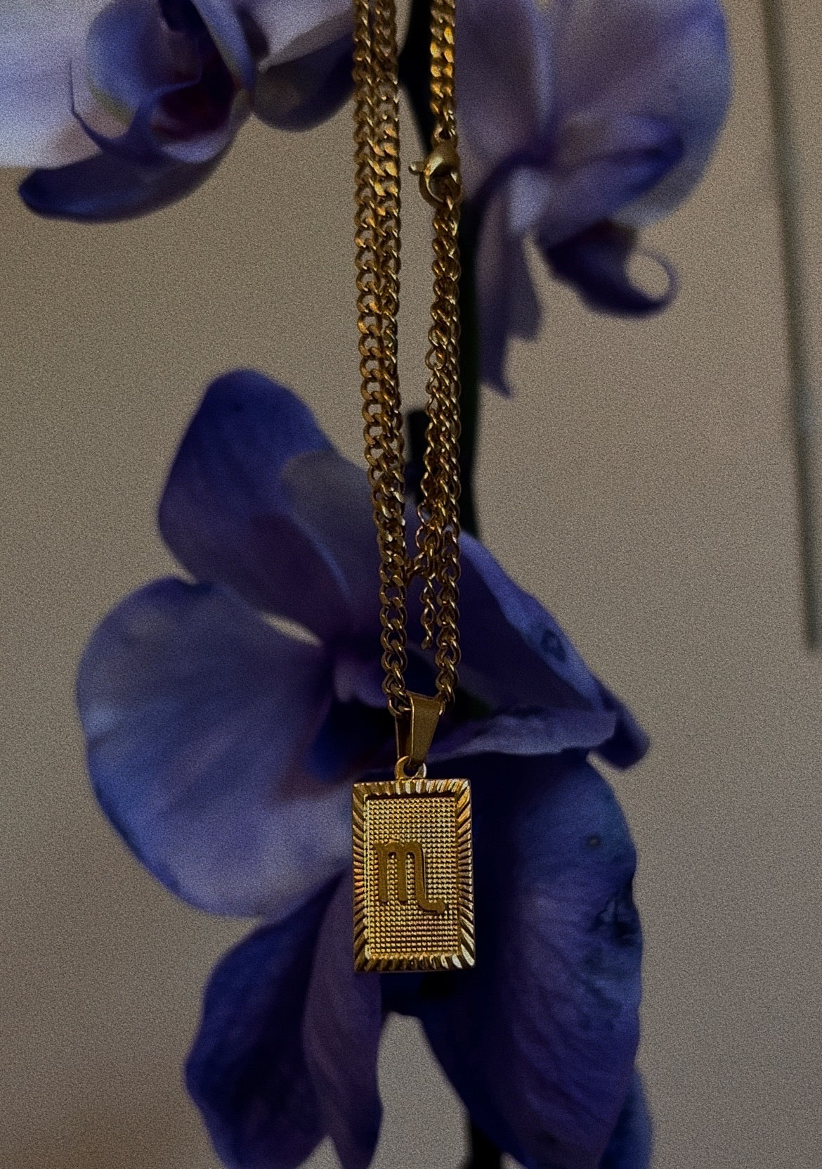 Scorpio zodiac necklace | 18k gold plated