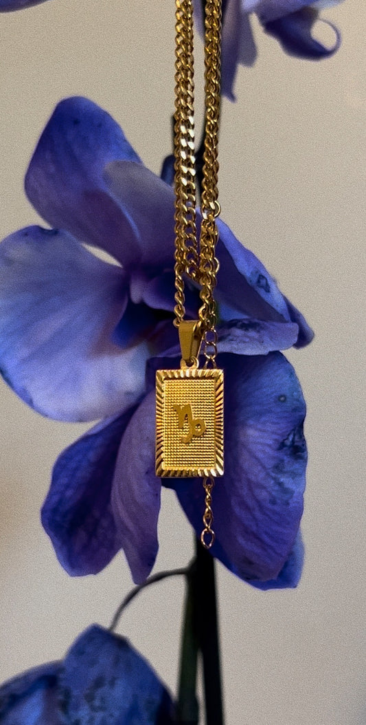 Capricorn zodiac necklace | 18k Gold plated